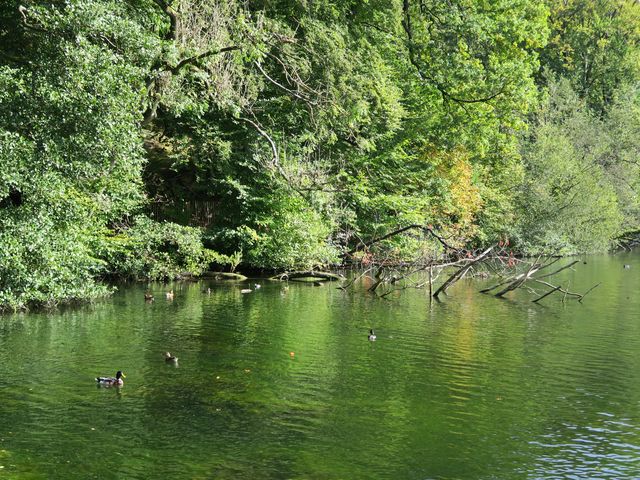 Randonnée joëlettes à Watermael