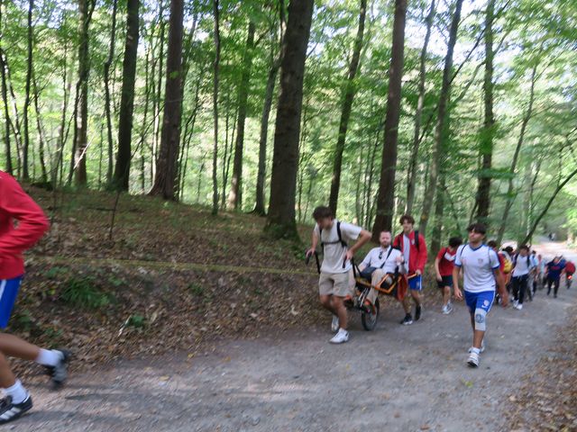 Randonnée joëlettes à Watermael