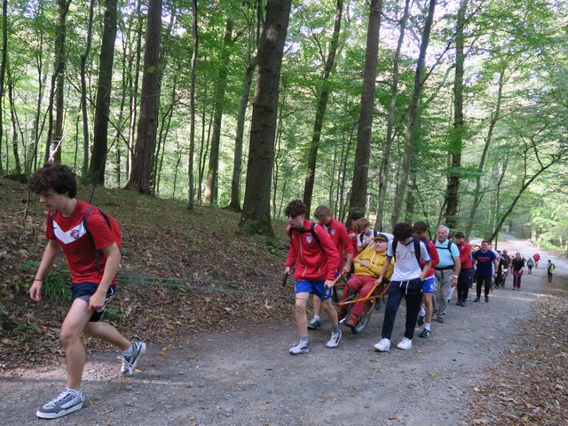 Randonnée joëlettes à Watermael