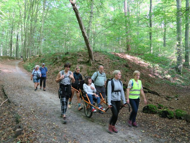 Randonnée joëlettes à Watermael