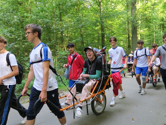 Randonnée joëlettes à Watermael