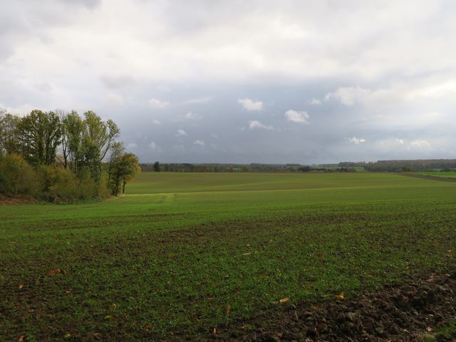 Randonnée joëlettes à Vyle-et-Tharoul