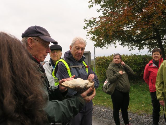 Randonnée joëlettes à Vyle-et-Tharoul