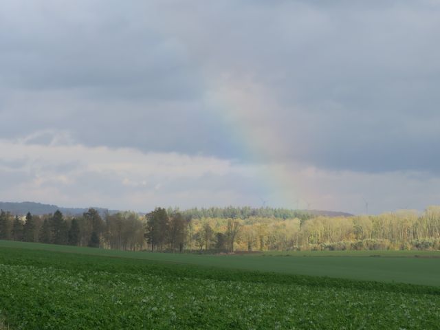 Randonnée joëlettes à Vyle-et-Tharoul