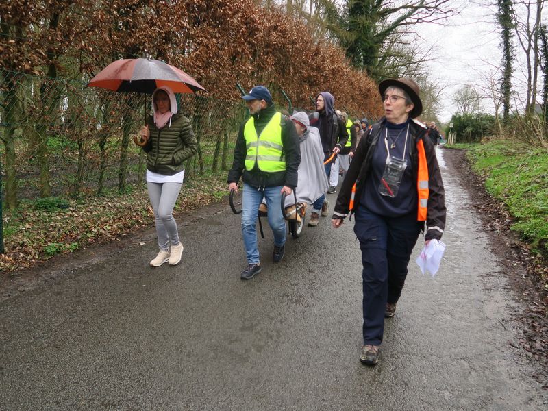 Randonnée joëlettes à Havré