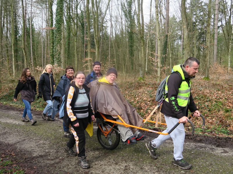 Randonnée joëlettes à Havré