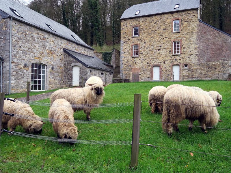 AG à Marche-les-Dames