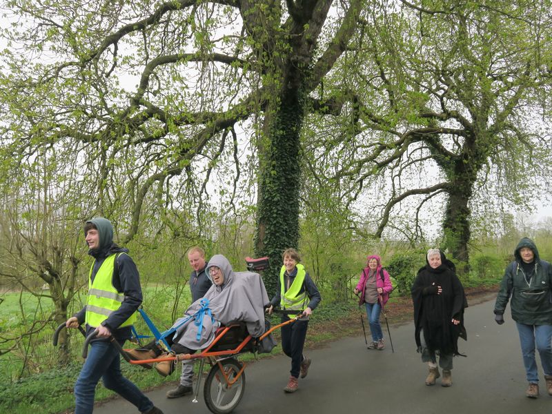 Randonnée joëlettes à Feluy