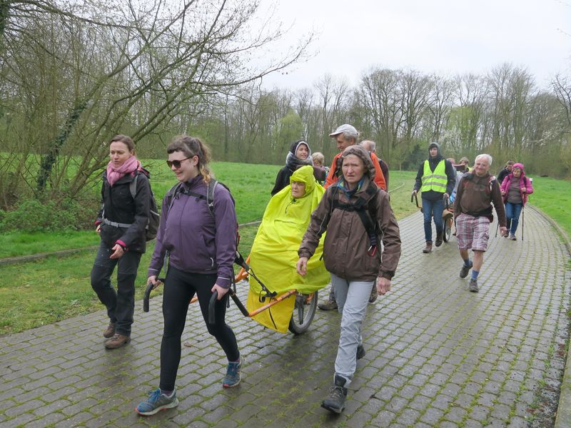 Randonnée joëlettes à Feluy