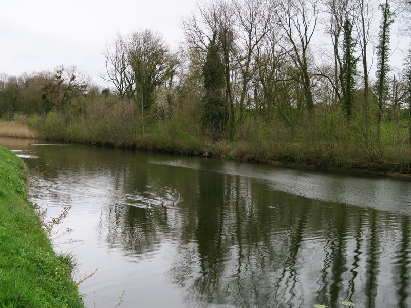 Randonnée joëlettes à Feluy