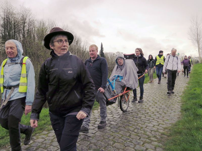 Randonnée joëlettes à Feluy