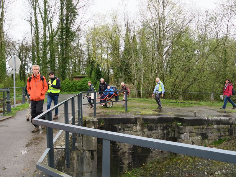 Randonnée joëlettes à Feluy