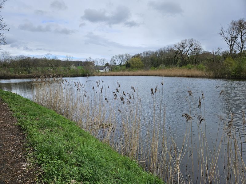 Randonnée joëlettes à Feluy