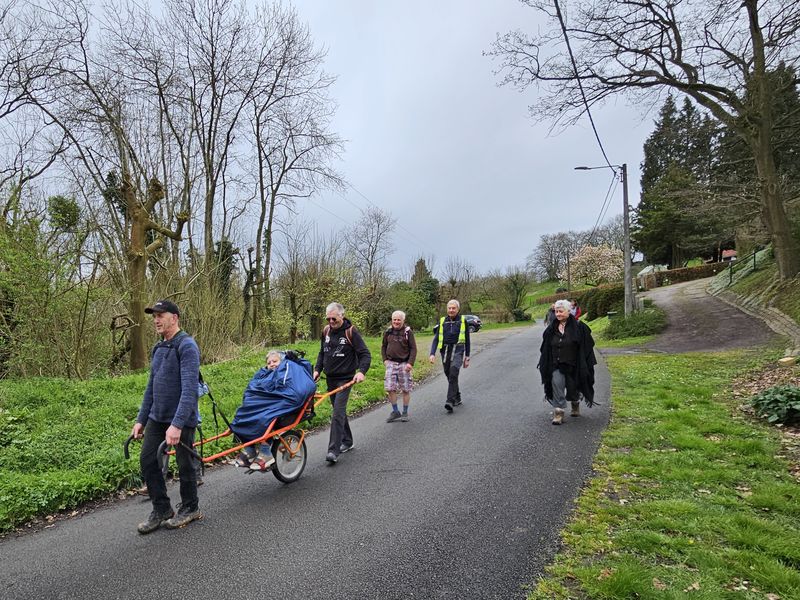 Randonnée joëlettes à Feluy