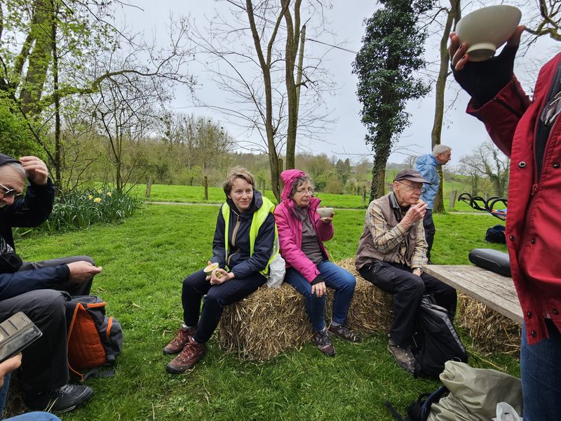 Randonnée joëlettes à Feluy