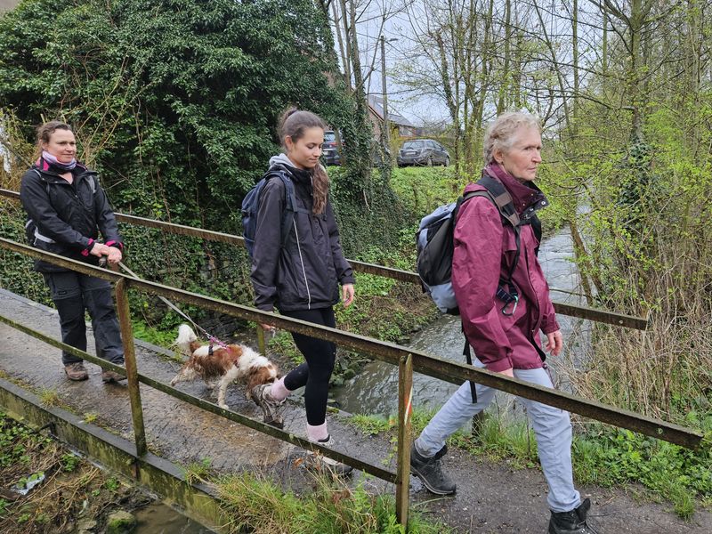 Randonnée joëlettes à Feluy