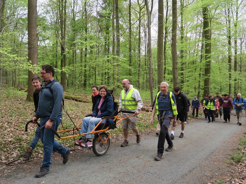 Randonnée joëlettes à Groenendaal