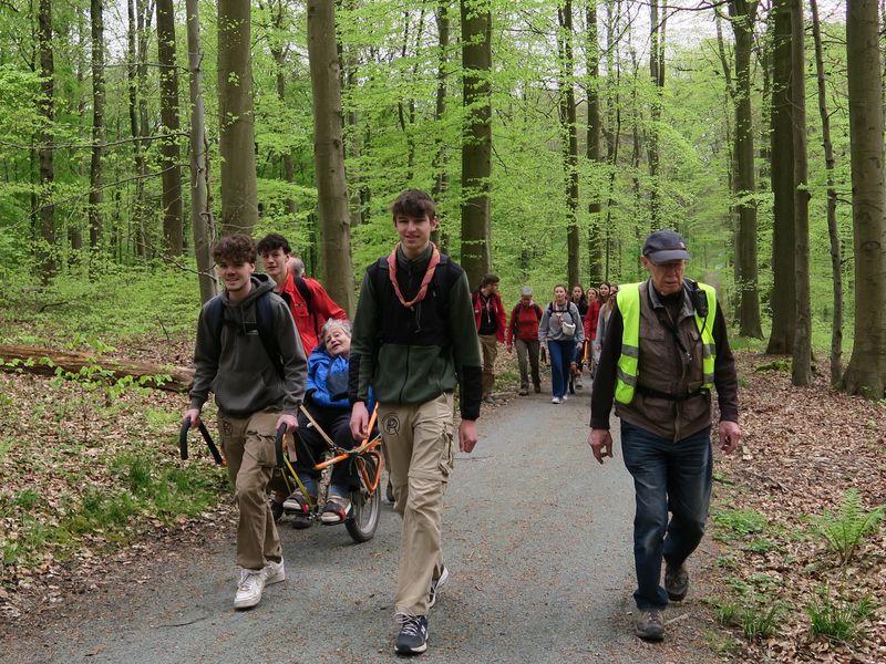 Randonnée joëlettes à Groenendaal