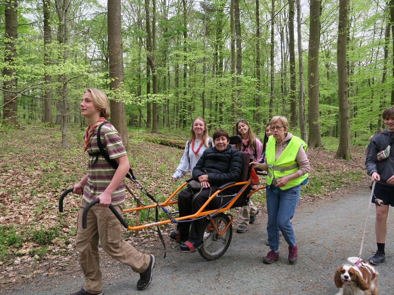 Randonnée joëlettes à Groenendaal