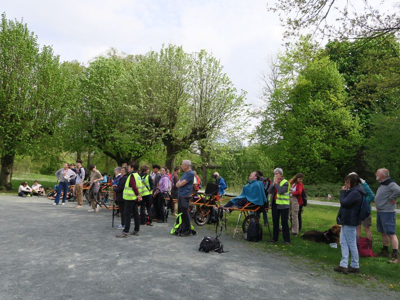 Randonnée joëlettes à Groenendaal