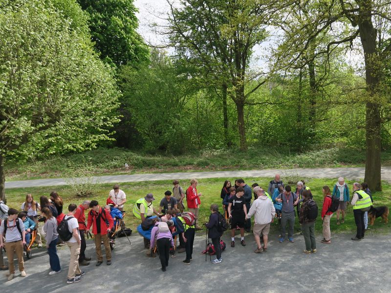 Randonnée joëlettes à Groenendaal