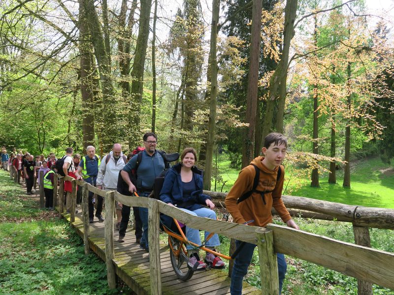 Randonnée joëlettes à Groenendaal