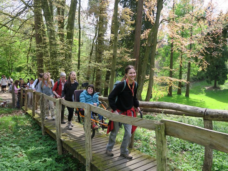 Randonnée joëlettes à Groenendaal