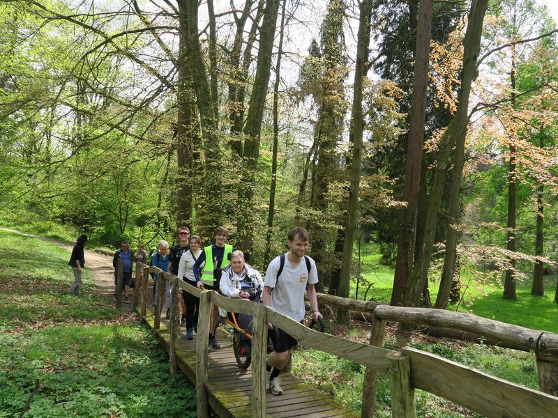 Randonnée joëlettes à Groenendaal