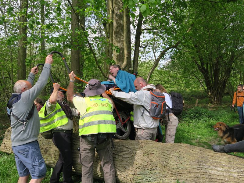 Randonnée joëlettes à Groenendaal