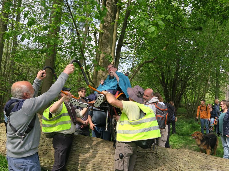 Randonnée joëlettes à Groenendaal