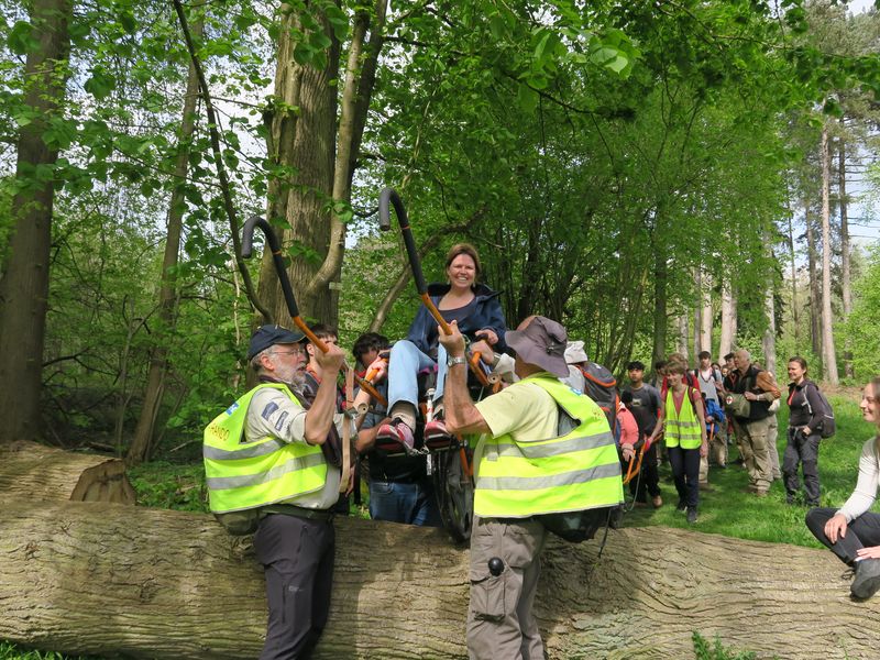 Randonnée joëlettes à Groenendaal