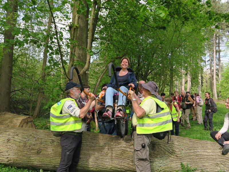 Randonnée joëlettes à Groenendaal