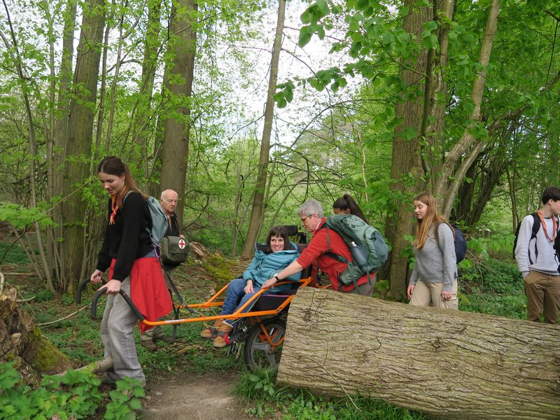 Randonnée joëlettes à Groenendaal