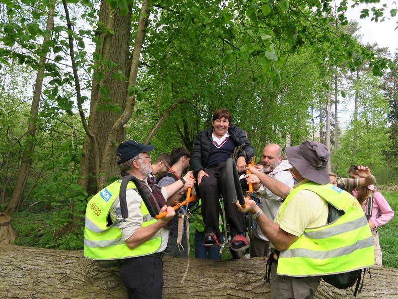 Randonnée joëlettes à Groenendaal