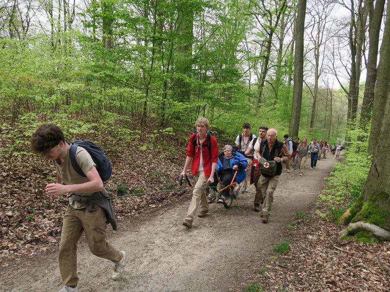 Randonnée joëlettes à Groenendaal