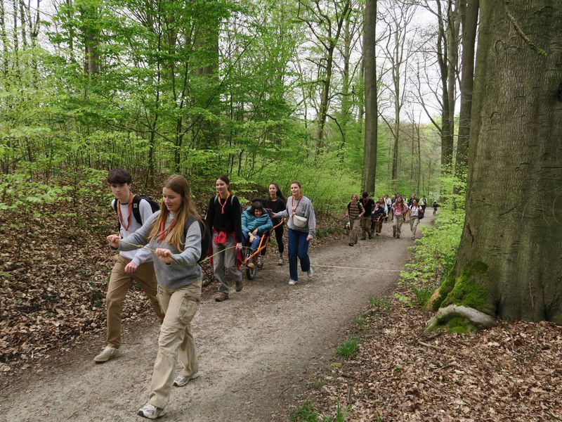 Randonnée joëlettes à Groenendaal