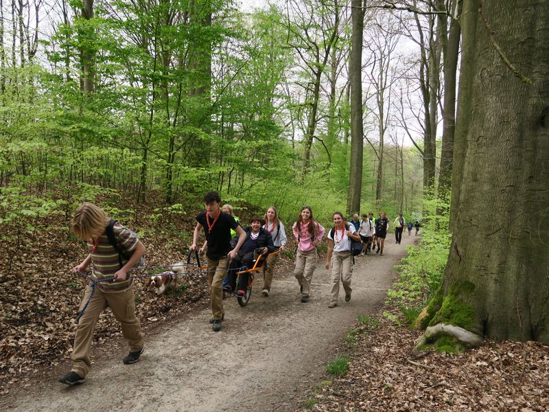 Randonnée joëlettes à Groenendaal