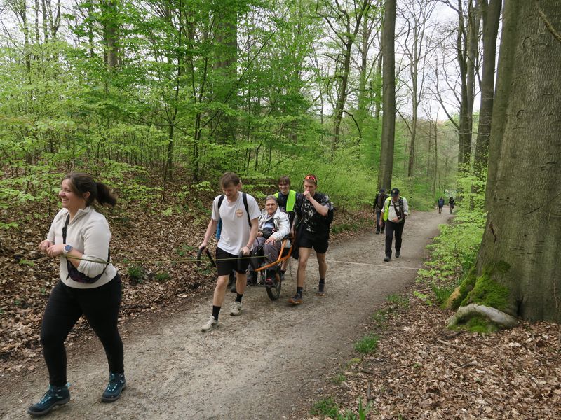 Randonnée joëlettes à Groenendaal