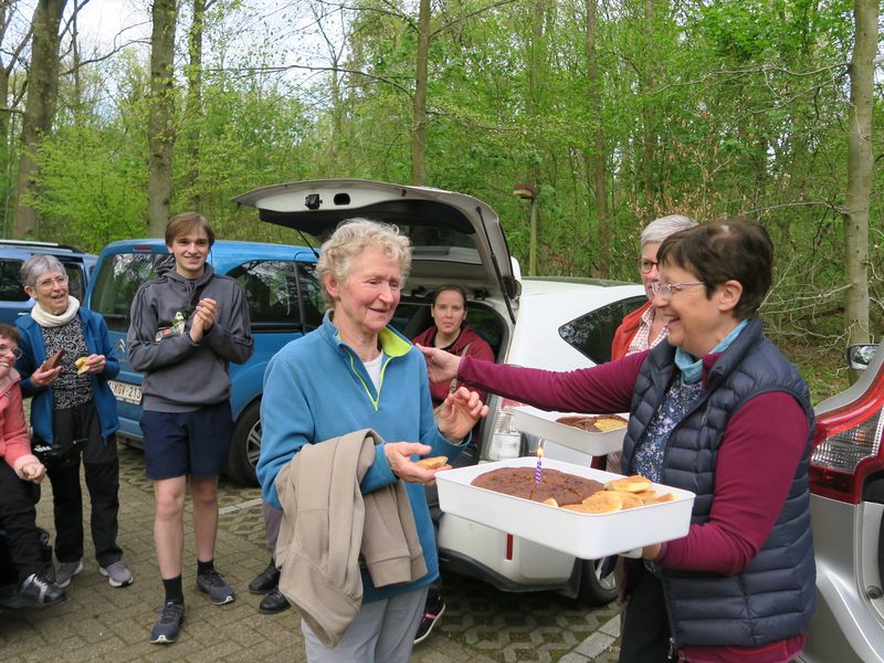 Randonnée joëlettes à Groenendaal