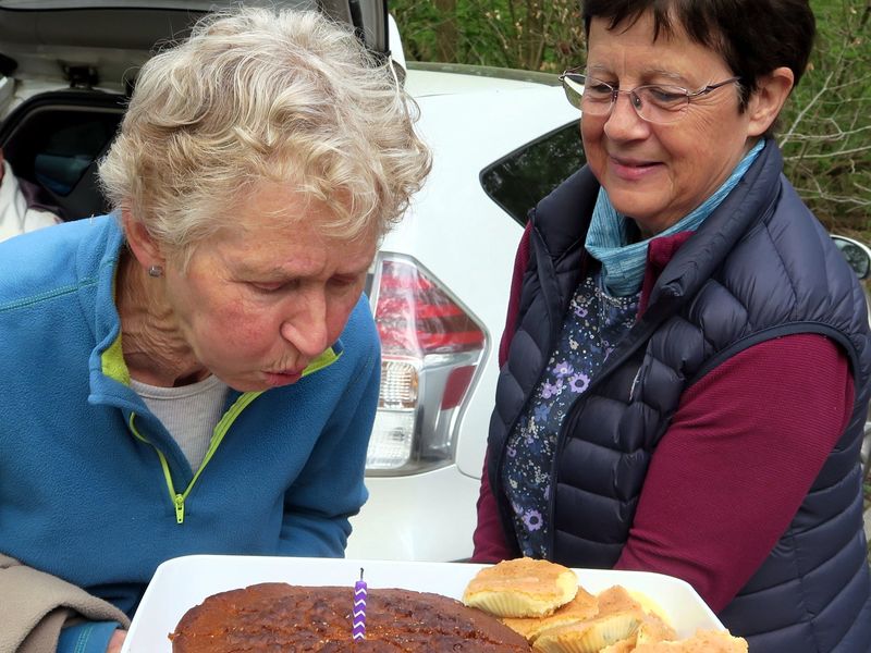 Randonnée joëlettes à Groenendaal