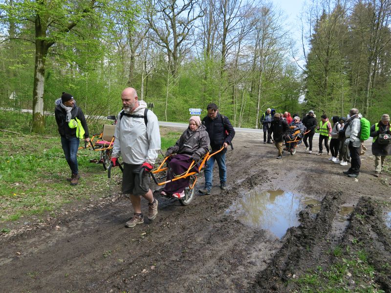 Randonnée joëlettes à Suxy