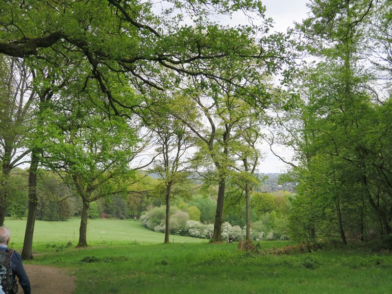 Randonnée joëlettes à Sart-Tilman