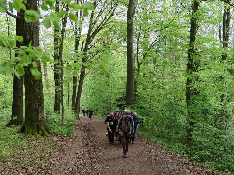 Randonnée joëlettes à Sart-Tilman